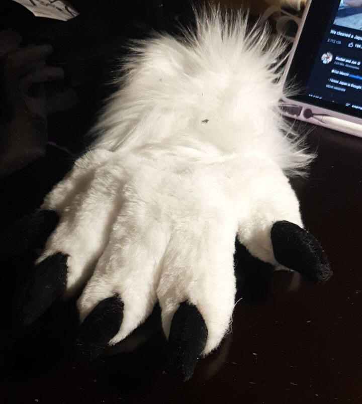 Akiba paw detailshot